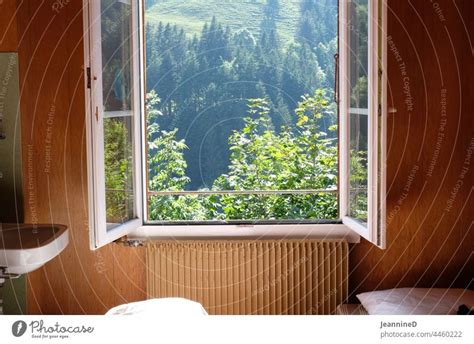 Open Window With View Into The Nature Inside With Old Fashioned Design