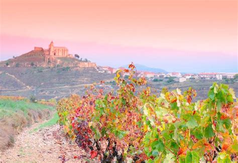 La Rioja Wine Region Spanish Wine Region Guide Rioja