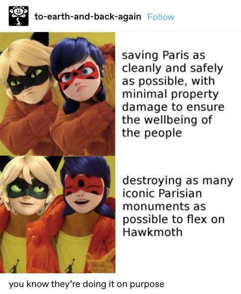 If Only You Could Have Saved Notre Dame Miraculous Ladybug Memes