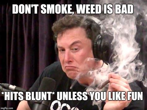 Elon Musk Hits Blunt Memes Imgflip