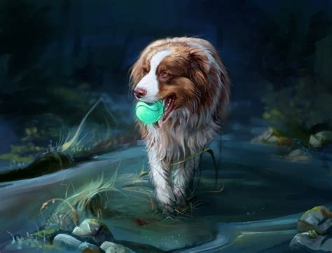 Australian Shepherd Aussie By Salamandra S Australian Shepherd Dog