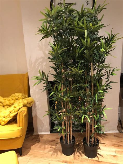 Ikea Artificial Bamboo Plant Fejka X4 In Leyton London Gumtree