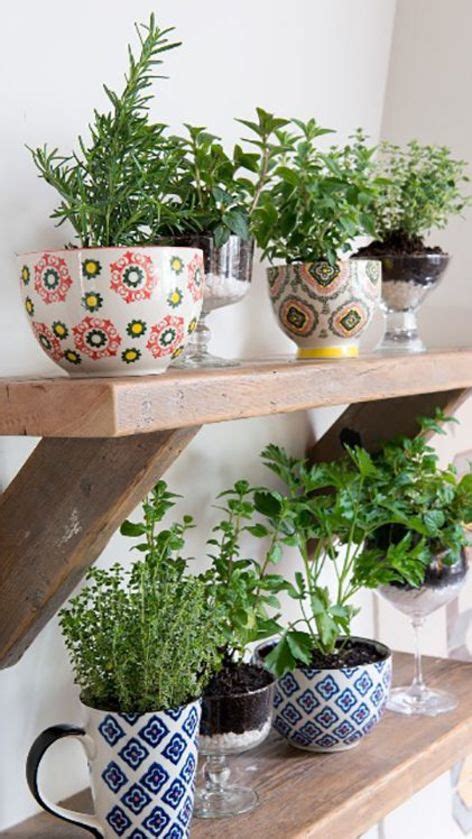 5 Diy Indoor Herb Gardens