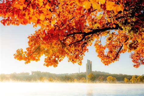 7 Best Places In Australia And New Zealand To See Autumn Colours