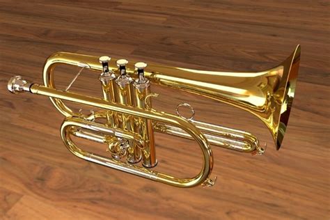How To Play The Cornet Even If Youve Never Played Before