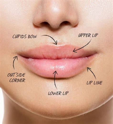 Tips To Perfect Lips