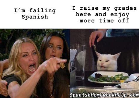 Memes Spanish Homework Help