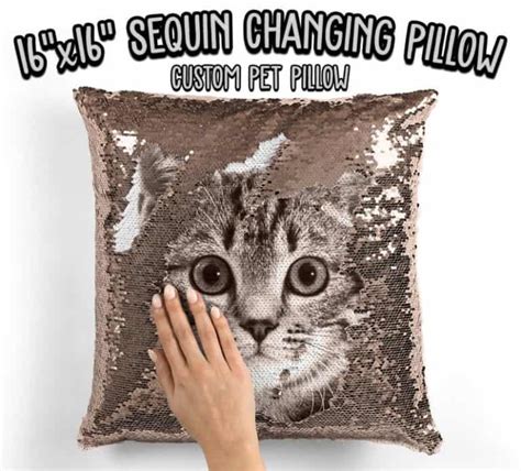 Cats also deserve christmas presents, right? 50 Best Gifts for Cat Lovers Perfect for Any Occasion ...