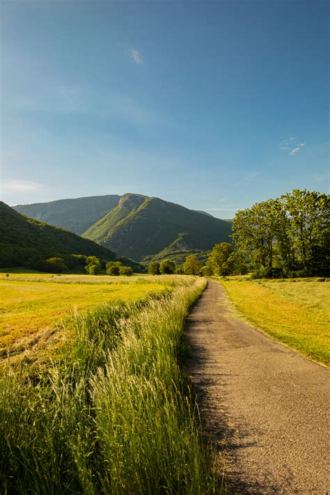 Wallpaper Photography Outdoors Nature Grass Plants Trees Forest