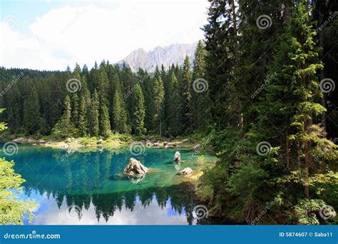 Turquoise Lake Water In Pines Wood Stock Image Image Of Alps