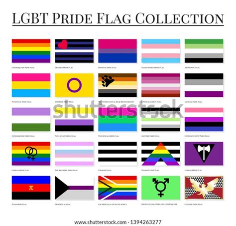 Collection Official Lgbt Signs Pride Flags Stock Vector Royalty Free