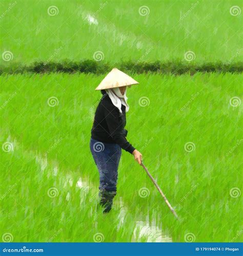 Impressionistic View Of Woman Farmer Working In Rice Paddy Vietnam Southeast Asia Editorial