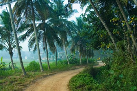 Village Road In Palode Kerala Stock Photography Image 15089332