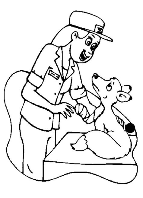 Print cat coloring pages for free and color our cat coloring! A Veterinarian Checking a Weasel in Community Helpers ...
