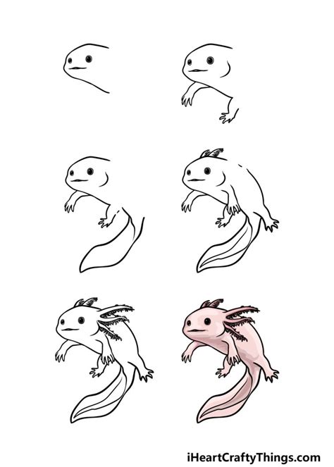 How To Draw Axolotl