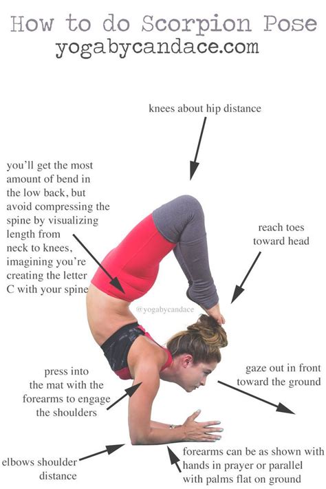 How To Do Scorpion Pose — Yogabycandace Skorpion Pose Handstand