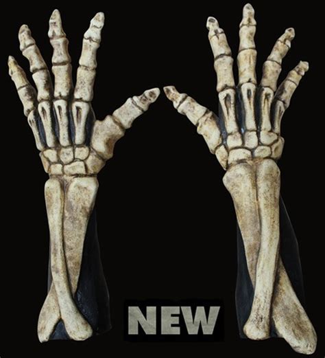 Hand bone. Скелет руки. Скелетная рука. Чесалка рука скелета. Рука в виде скелета.