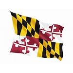 Maryland Flag Md Clipart Waving Fluttering Bandeira