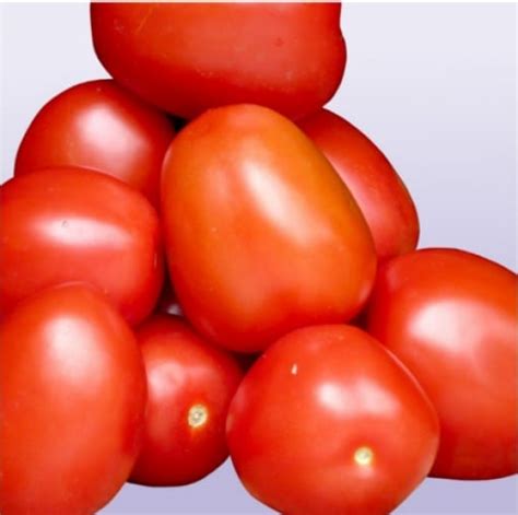 Tomato Ath 99 Vegetable Seeds