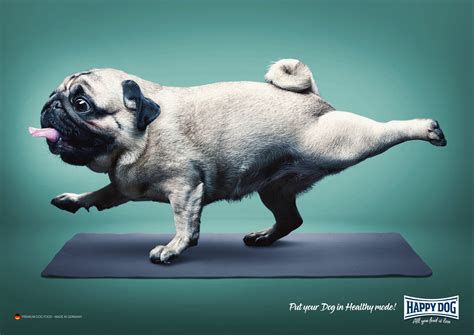 Happy Dog Healthy Mode Ads Of The World Part Of The Clio Network