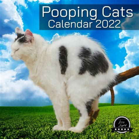 Pooping Cats Calendar 2022 Funny Calendar Pooping Animal 12 Month