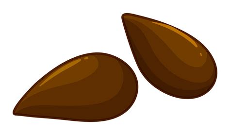 Two Seeds Of Apple Fruit 419221 Vector Art At Vecteezy