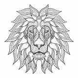 Lion Coloring Head Lions Mane Adult Animals sketch template