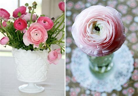 Do you love roses, but lack the gardening finesse to get the most out of them? Pretty peonies and seasonal alternative flowers for your ...