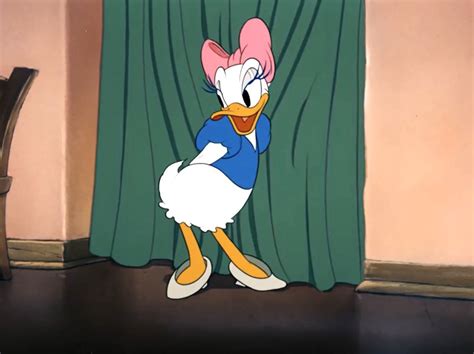 The Evolution Of Donald Duck And Daisy Duck The Disney Classics
