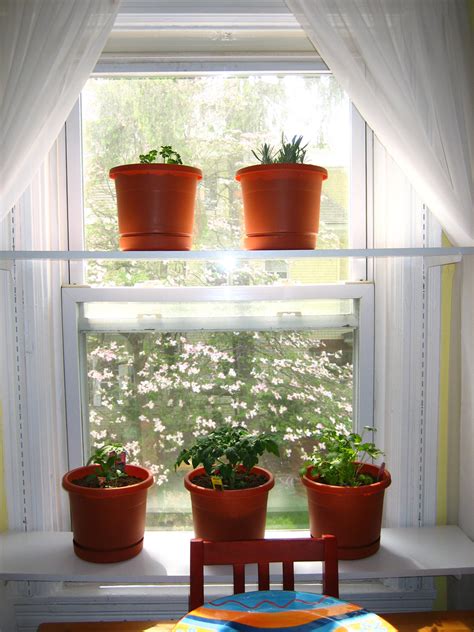 Room interior design with indoor plants decor ideas. Plants inside rooms