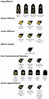 Images of Military Rank Structure