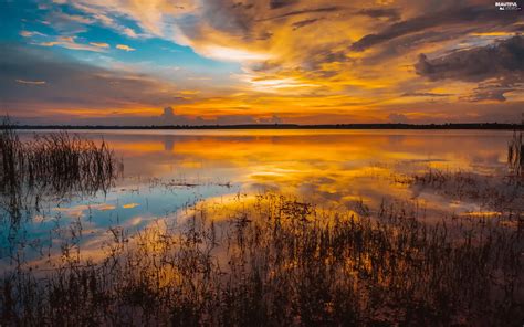 Clouds Reflection Lake Rushes Great Sunsets Beautiful Views