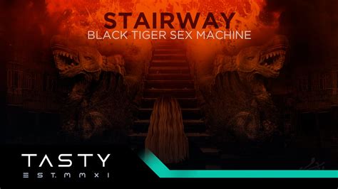 Black Tiger Sex Machine Stairway Youtube