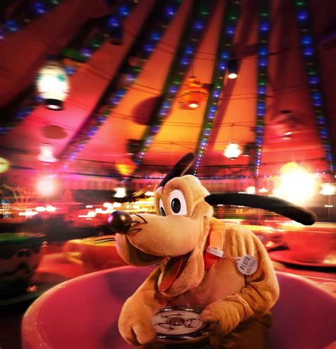 Disneymagicmoments Positively Paw Some Pluto Styles From Around The