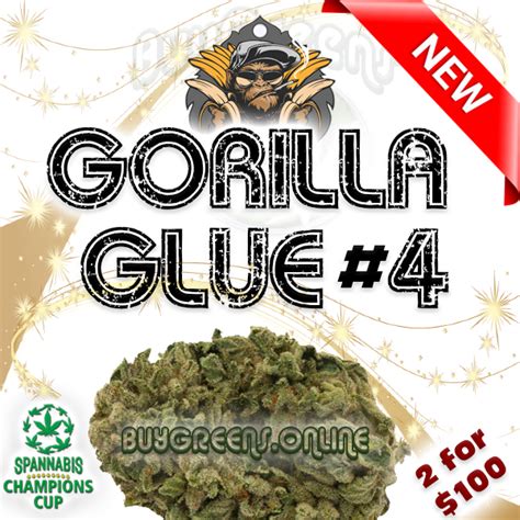 Gorilla Glue 4 Gg4 Aaa 1oz Award Winning Strain Buygreens