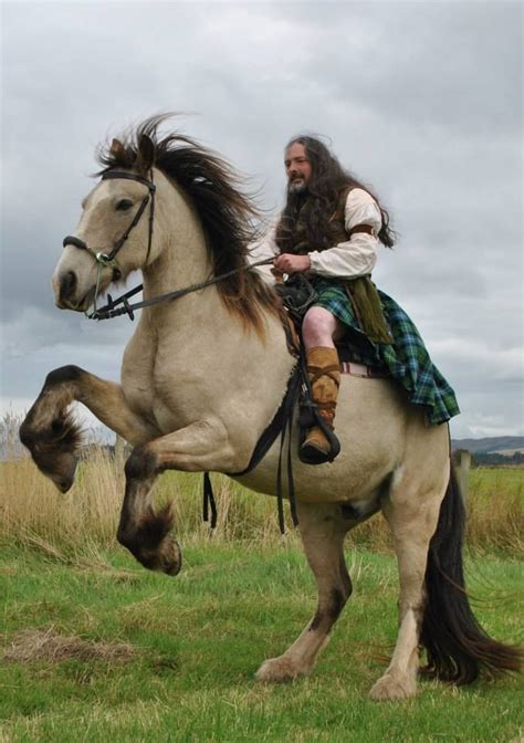 79 Best Images About Scottish Jacobites And Warriors On