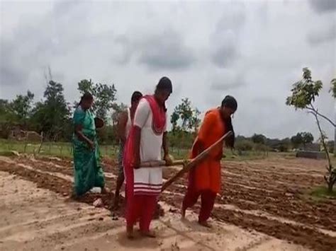 Andhra Pradesh Girls Pull Plough To Aid Father In Farming In Chittoor