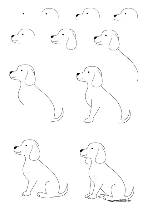 Though this tutorial walks you through how to draw a. Drawing puppy