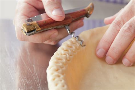 Place the rolled out dough into a pie dish, pinching the edges to form a crust. Guerilla Pie Decorating | Bakepedia Tips