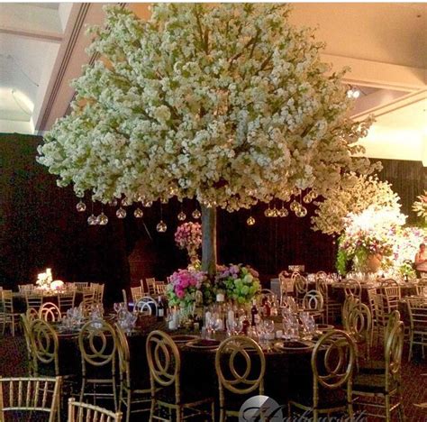 A Large Tree With White Flowers In The Center Surrounded By Chairs And