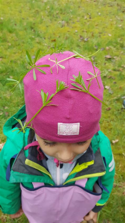 Motivierende Arten Wecken Den Jäger Und Sammler In Uns Kindergarten