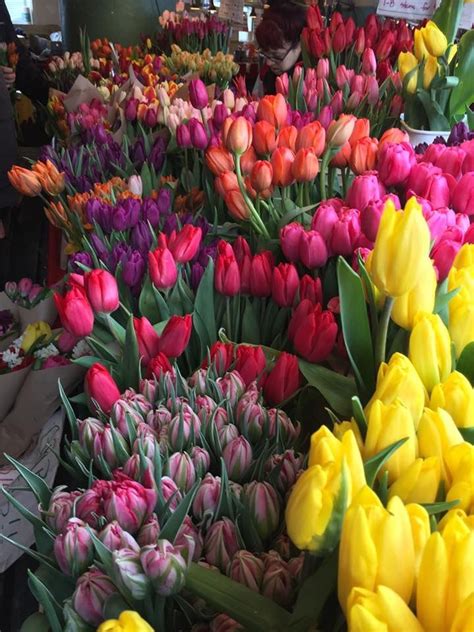 Rachel was designed by local artist georgia gerber and modeled after a pig (also named rachel) that lived on whidbey island and was the 1977. Tulips at Pike Place Market, Seattle (Photo by Lubbesmeyer ...