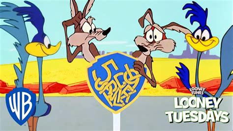 Looney Tuesdays Coyote Will Never Give Up Looney Tunes Wb Kids