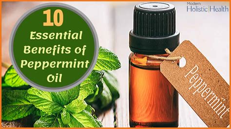 10 Essential Benefits Of Peppermint Oil Modern Holistic Health