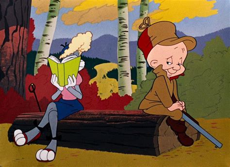 Elmer Fudd Bugs Bunny Vaughan Cartoon Characters Zelda Characters