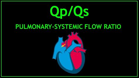 Qpqs Ratio Echocardiography Youtube