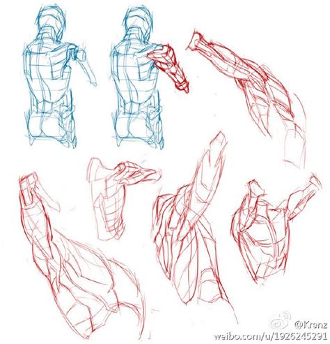 Anatomy 팔근육 스케치 드로잉 강좌 그림
