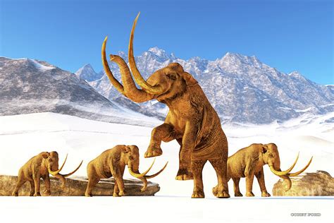 Pleistocene Megafauna Lineup Illustration Featuring Columbian Mammoth