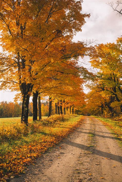Autumn on a country road | Autumn scenery, Autumn landscape, Autumn scenes