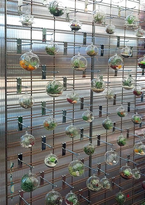 This is like a little indoor garden. Terrarium Wall - Cactus Jungle